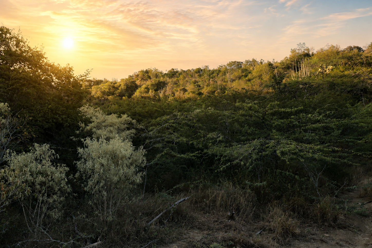 4th expedition habitat at sunset